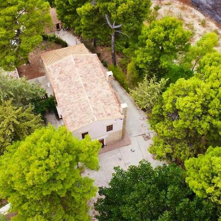 Salemi Elegant Villa Trapani + Pool מראה חיצוני תמונה